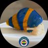 🇹🇷 Fenerli Salyangoz Soner 🇹🇷 profil fotoğrafı