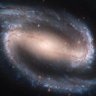 NGC1300 的头像