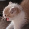 Peggy B profil fotoğrafı