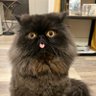 Фото профиля Rufus