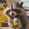 Фото профиля Rickey Raccoon