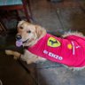 Enzo profil fotoğrafı