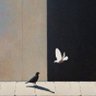 Фото профиля 🦇🐦⬛ ₵Ⱨ₳Ø₮ł₵₲ØØĐ 🌚🐈⬛