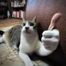 JustJohnny's profile picture