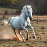 Gladesteed profil fotoğrafı