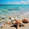 Фото профиля DeNiz