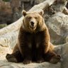 Terva-Karhu profil fotoğrafı