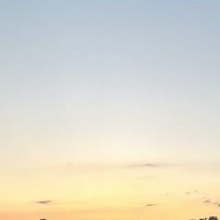 Orange 🍊🧡's profile picture