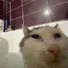 Profilbild von wolfie