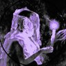 siina5's profile picture