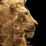 aslan_pençesi 的头像