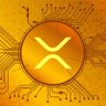 XRP Update 的头像