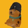 Profilbild von BTC/DogeToAndromeda