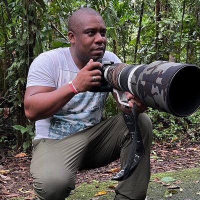 macro_action's profile picture