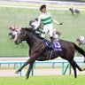 きむきむ@🏇's profile picture