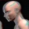 𝔽𝕚𝕣𝕫𝕒𝕟's profile picture