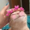 fff's profile picture
