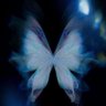 🦋's profile picture