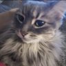 Profilbild von Mr.BooBoo