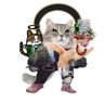 saint meows 的头像
