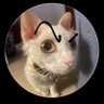 Rewan 🍉's profile picture