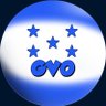 XRP GVO 🤙🏽📈💯 的头像