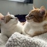 Eve's profile picture