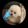 ゆうじ profil fotoğrafı