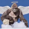 Harambe profil fotoğrafı
