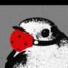 pseudojunco 的头像