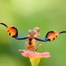 Фото профиля jeff larson