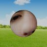 FaZe Wojack's profile picture