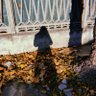 notturnamente. profil fotoğrafı