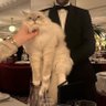 meow ≽^•⩊•^≼'s profile picture