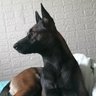 Bad and Crazy's profile picture