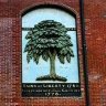 LibertyTree profil fotoğrafı