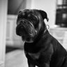 H Mc's profile picture