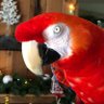 Sandy's profile picture