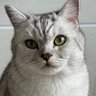 Profilbild von 木华