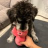 森田なな 的头像