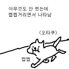 BM⁹⁸🍊's profile picture