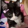sequilho de goiabada's profile picture