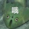 ๅฐฑ็็'s profile picture
