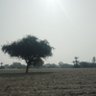 الیاس 的头像