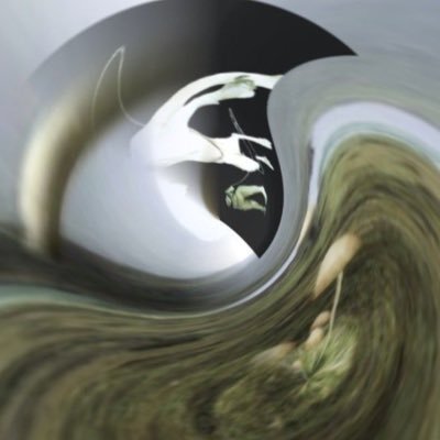 gab's profile picture