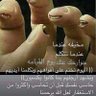 Fahd AL AMRI 的头像