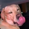 Gustavo999's profile picture