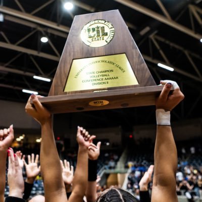 Byron Nelson HS VBall's profile picture
