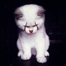 Shadow's profile picture