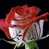 lalə Həsənova 🇦🇿's profile picture